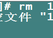 Linux之如何使用rm命令