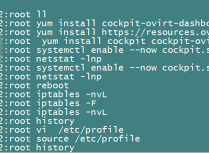 Linux 配置 history 命令显示操作时间、用户和登录 IP