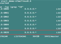 玩转KVM虚拟化之虚拟机VNC配置指定固定的端口