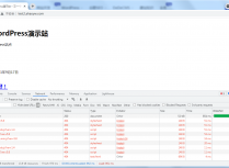 WordPress搭建的网站如何更换网站域名