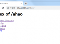 Apache开启目录浏览