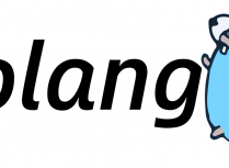在Linux系统上搭建Go语言开发运行环境