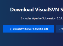 Windows下安装和部署SVN版本控制系统