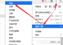 网站如何查看使用TLS的版本图文教程
