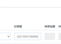 域名解析添加_dnsauth主机记录如何添加