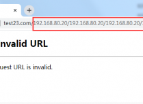 域名后面出现了ip地址照成打不开