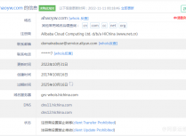 域名如何查询注册商到期时间等相关信息