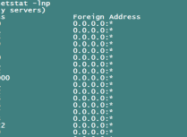 Linux系统中快速定位你要的域名/端口对应的web服务站点配置文件