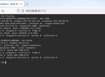 在浏览器里面运行命令行之ttyd工具，真香！