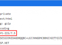 IIS如何修改浏览器响应头中的Server服务器版本名称
