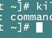 killall出现-bash: killall: command not found