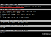 使用GoAccess实时可视化分析Web网站访问日志