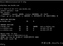 Windows系统下安装dig命令