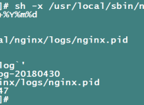 Nginx设置日志定时切割