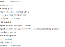 隐藏Nginx版本号