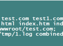 Nginx设置定义访问日志