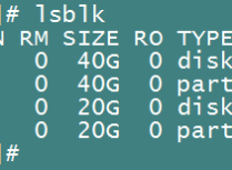 Linux之如何使用lsblk命令