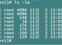 Linux之文件类型介绍