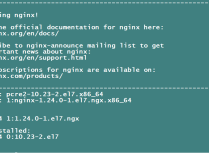 Centos7系统Yum安装Nginx