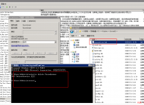 ECS Windows被入侵或中毒后因被植入rnpasswd服务导致密码自动还原