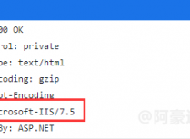 IIS如何隐藏浏览器响应头中的Server服务器版本名称