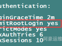 Ubuntu Server 24.04如何开启Root权限