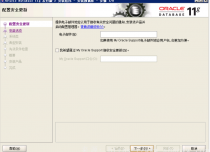 Windows安装 Oracle Database