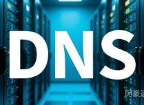 DNS解析中什么是解析请求来源？为啥选择解析来源电信，其他DNS就无法查询到这条解析