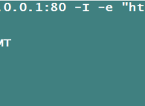Nginx设置防盗链,访问控制