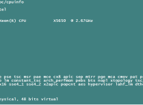 linux下如何查看cpu物理个数和逻辑个数