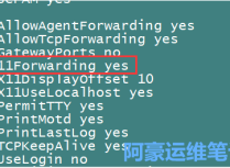 Xshell报错“The remote SSH server rejected X11 forwarding request.”