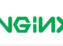 Nginx常用的编译选项解释