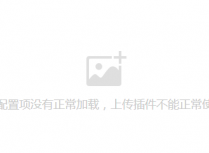 PbootCMS后台文章编辑器图片上传提示后端配置项没有正常加载，上传插件不能正常使用！