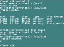 linux下查看磁盘分区的文件系统格式