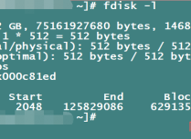 阿里云Linux系统下标准分区系统盘扩容