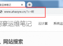 Wordpress搜索结果URL伪静态