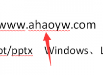WPS文字中某些内容下方出现的红色波浪线如何去掉