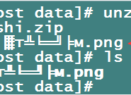 Windows系统下打包压缩的ZIP压缩包文件在Linux中解压缩中文乱码问题
