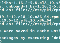 Almalinux8.6更新系统版本报错Error GPG check FAILED