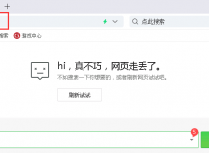 360安全浏览器访问网址跳转se://error/问题解决办法