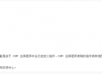 运行时环境检测到其内部状态存在不一致