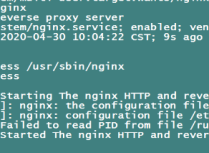 Nginx 反向代理其他搜索引擎